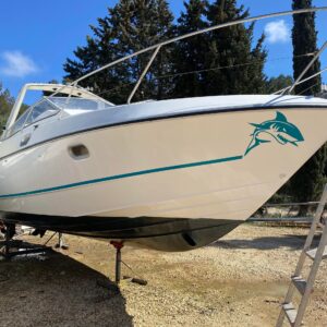 Beneteau flyer 8 bateau vedette 1991