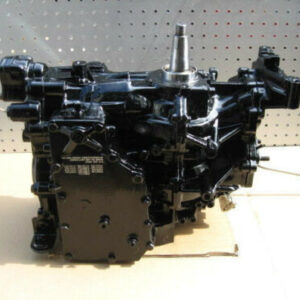 POWERHEAD JOHNSON EVINRUDE 55 COMMERCIAL 1994 – 2001